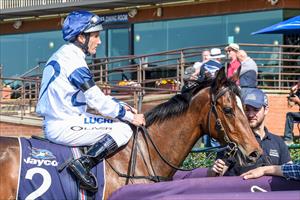 STABLE OAKS AND STAKES DAY PREVIEW